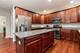 21042 Lakewoods, Shorewood, IL 60404