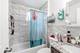 2958 S Lowe, Chicago, IL 60616