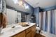 8331 W Chestnut, Frankfort, IL 60423