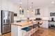 20 S Fairview Unit 4N, Park Ridge, IL 60068