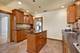 3838 Johnson, Western Springs, IL 60558