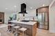 1729 N Mitchell, Arlington Heights, IL 60004