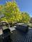 606 Cedar, St. Charles, IL 60174