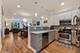 1037 W Oakdale, Chicago, IL 60657