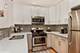 1037 W Oakdale, Chicago, IL 60657