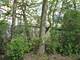 169 E Palatine Unit F, Palatine, IL 60067