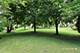 905 Burnham, Aurora, IL 60502