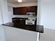 1850 N Clark Unit 2704, Chicago, IL 60614