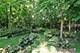 1108 Vineyard, Gurnee, IL 60031