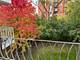 200 Deborah Unit 13C, Wheeling, IL 60090
