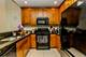 166 W Grand Unit 3C, Chicago, IL 60654