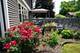 281 Fox Chase, Oswego, IL 60543