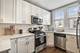 3228 N Hamlin, Chicago, IL 60618