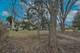 719 Webster, Algonquin, IL 60102
