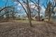 719 Webster, Algonquin, IL 60102
