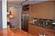 195 N Harbor Unit 3401, Chicago, IL 60601