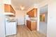 1333 W Touhy Unit 301, Park Ridge, IL 60068