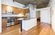 900 N Kingsbury Unit 1129, Chicago, IL 60610