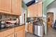 6121 N Hoyne Unit 1S, Chicago, IL 60659