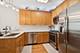 8471 Callie, Morton Grove, IL 60053
