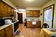 159 Village, Des Plaines, IL 60016