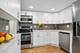 425 W Grant Unit C, Chicago, IL 60614