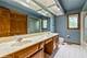 1507 Ada, Naperville, IL 60540