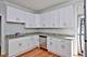 5461 S Everett Unit 3A, Chicago, IL 60615