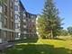 470 Fawell Unit 411, Glen Ellyn, IL 60137