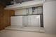 1845 S Michigan Unit 708, Chicago, IL 60616