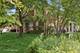 1007 Enfield Unit 1007, Northbrook, IL 60062
