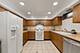 8330 W Balmoral, Chicago, IL 60656