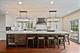 1329 Glenwood, Glenview, IL 60025