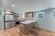 4716 N Winthrop Unit GARDEN, Chicago, IL 60640