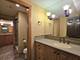 11621 Old Castle, Mokena, IL 60448