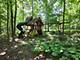 11621 Old Castle, Mokena, IL 60448