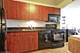 474 N Lake Shore Unit 5503, Chicago, IL 60611