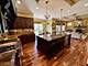 1104 S Vine, Park Ridge, IL 60068