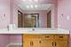 8517 Steven Unit 4, Tinley Park, IL 60477