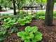 1242 Hobson Oaks, Naperville, IL 60540
