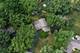 26W430 Natalie, Carol Stream, IL 60188