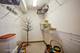 10 S Wille Unit 603, Mount Prospect, IL 60056