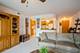 10 S Wille Unit 603, Mount Prospect, IL 60056