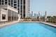 233 E 13th Unit 2001, Chicago, IL 60605