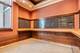 233 E 13th Unit 2001, Chicago, IL 60605