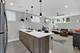 1538 W 21st Unit 1, Chicago, IL 60608