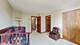 1389 Lily Cache, Bolingbrook, IL 60490