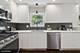 7300 S Wolcott, Chicago, IL 60636