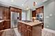 931 W Winona Unit 1, Chicago, IL 60640