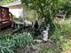 28w775 Grommon, Naperville, IL 60564